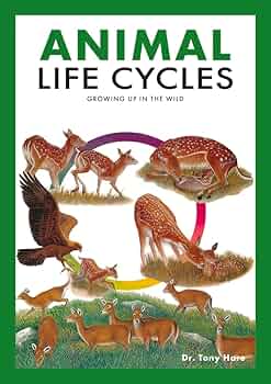 全巻セット ANIMAL LIFE ANIMAL LIFE 「Chubby Series」ハイポ～ズ|ユニオン
